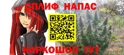 ПСИЛОЦИБИНОВЫЕ ГРИБЫ Краснодар