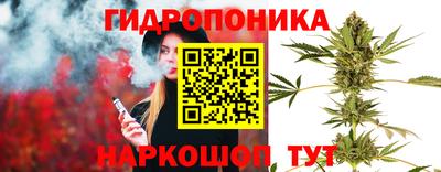 скорость Краснознаменск