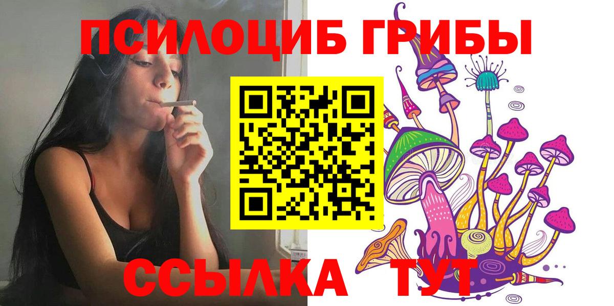 Псилоцибиновые грибы прущие грибы Корсаков