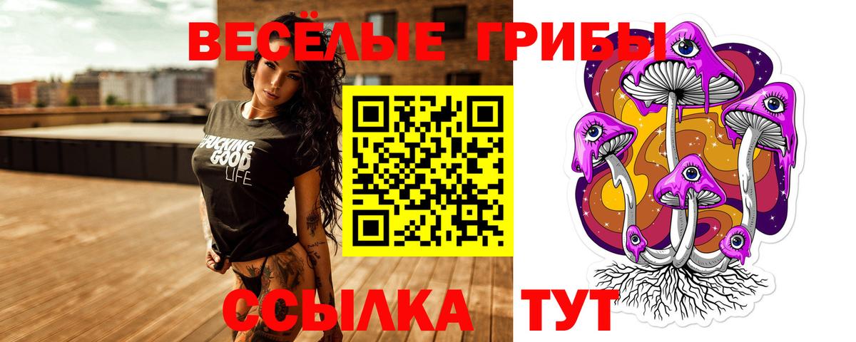 Корсаков  Псилоцибиновые грибы MAGIC MUSHROOMS  где найти наркотики  Вход с VPN 